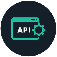 api logo